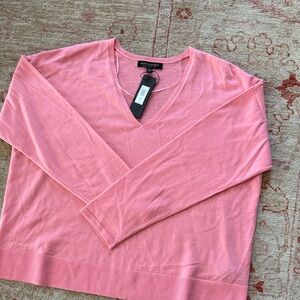 Banana Republic 100% Merino wool 2019 collection never worn V-Neck Sweater